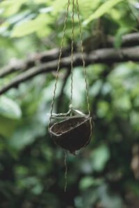 Homemade Bird Feeder Designs