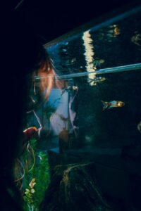 First Time Fish Tank