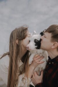 Can a Dog Have Two Owners?